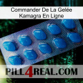 Commander De La Gelée Kamagra En Ligne viagra1
